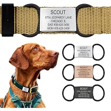Personalized Dog Tags by ROAD iD | Silent & Durable | Jingle-Free Slide-On Design | Stainless Steel Name Tag Fits Any Collar | Multiple Colors & Sizes for Your Pets Unique Style
