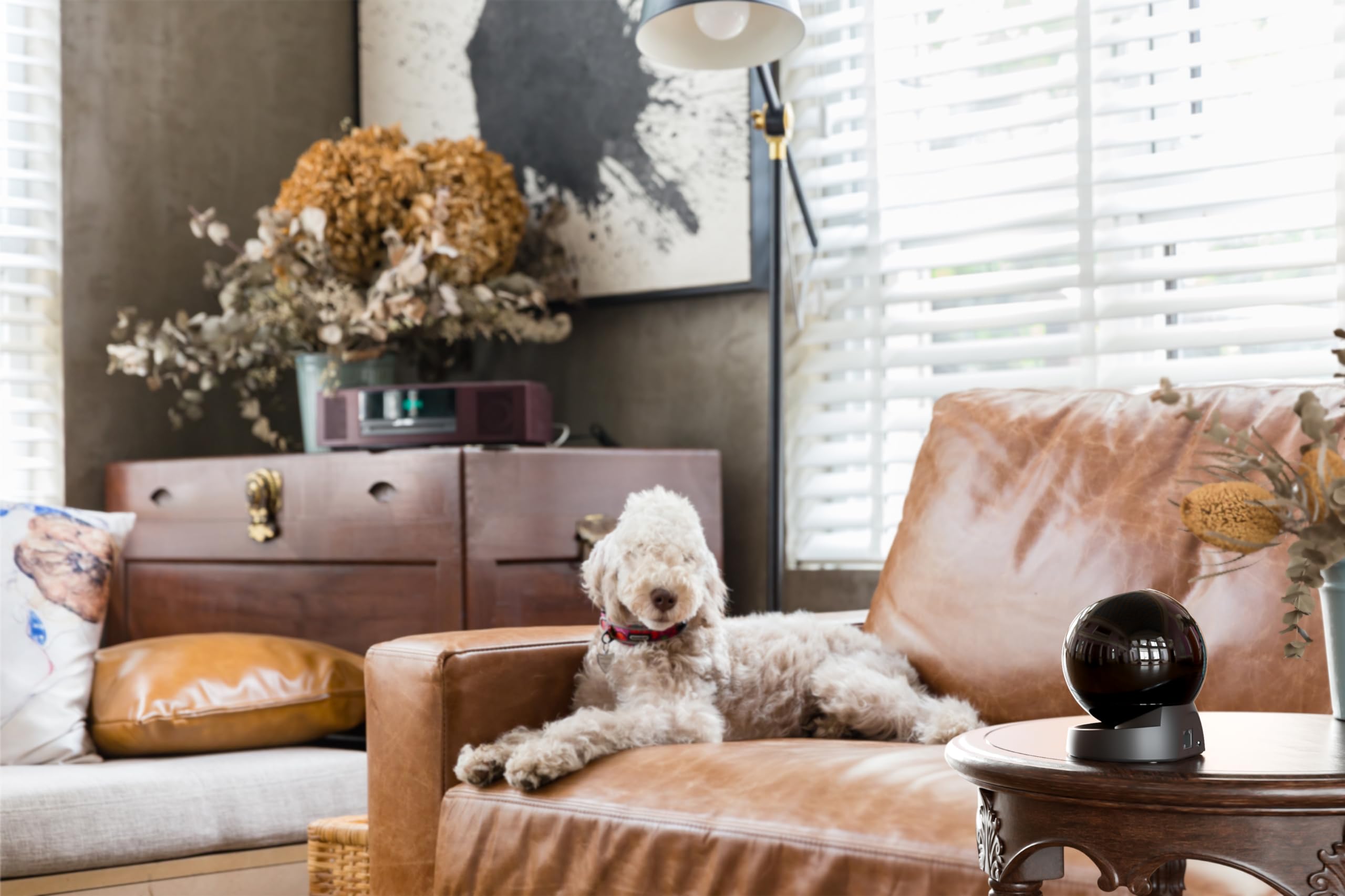 Imou Rex 3D Telecamera motorizzata da interno 2K 3MP con sirena, faretto, pet detection e Imou Sense