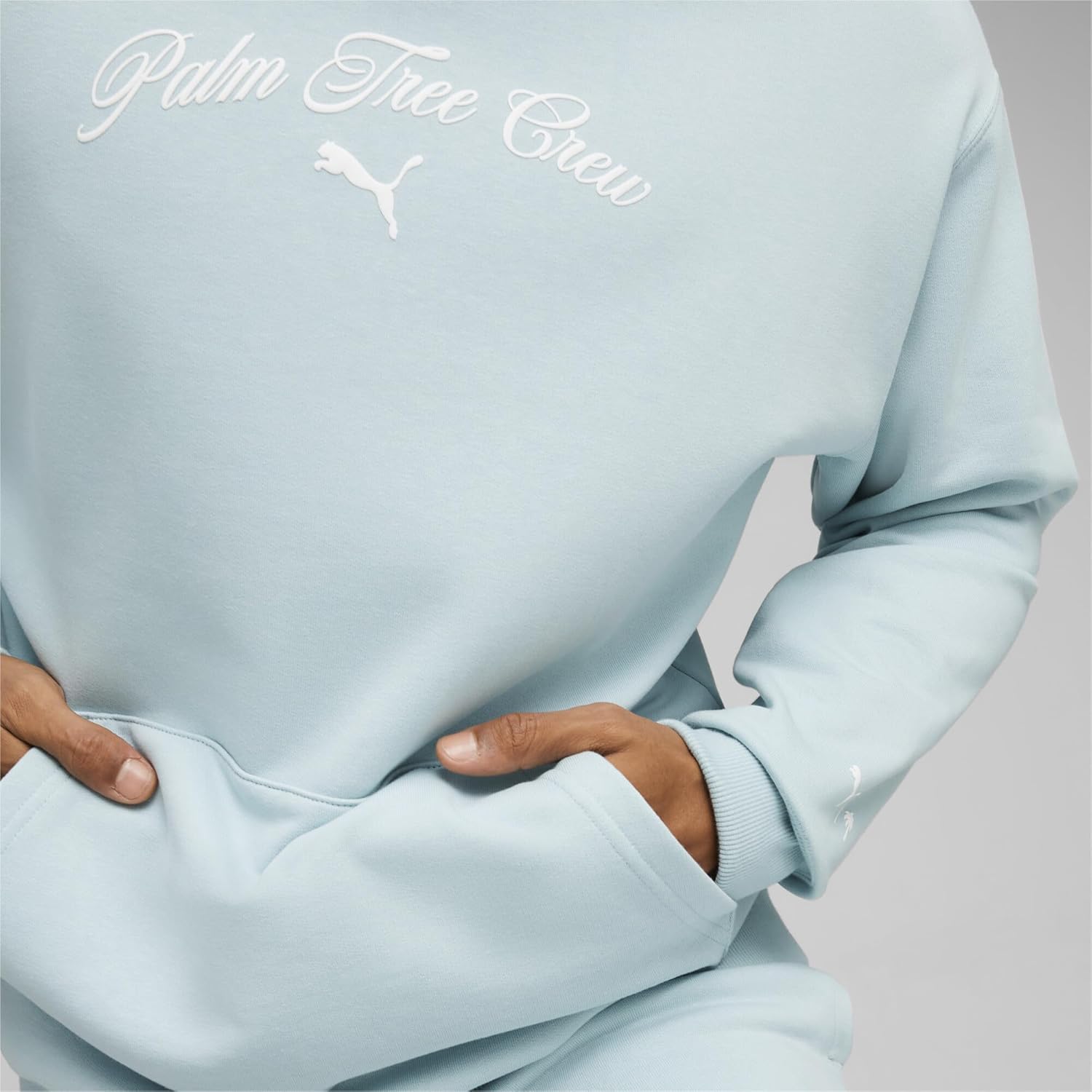 Palm Tree Crew Puma X Ptc Yacht Club Hoodie - Image 3