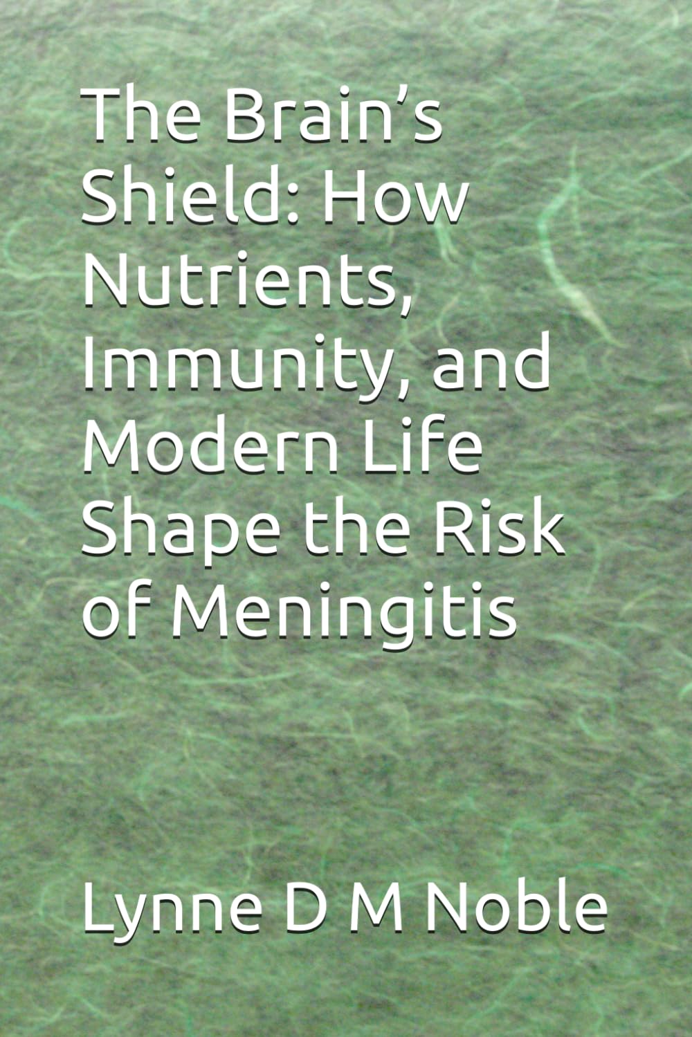 The Brain’s Shield: How Nutrients, Immunity, and Modern Life Shape the Risk of Meningitis