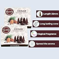 Vista 184 de TRUMIRI Copal Incense Cones - Total 20 Cone Incense - Dual Pack of 10 Insence Cones - Incense Cones Scented - Cone Incense Scents - Insense Cones