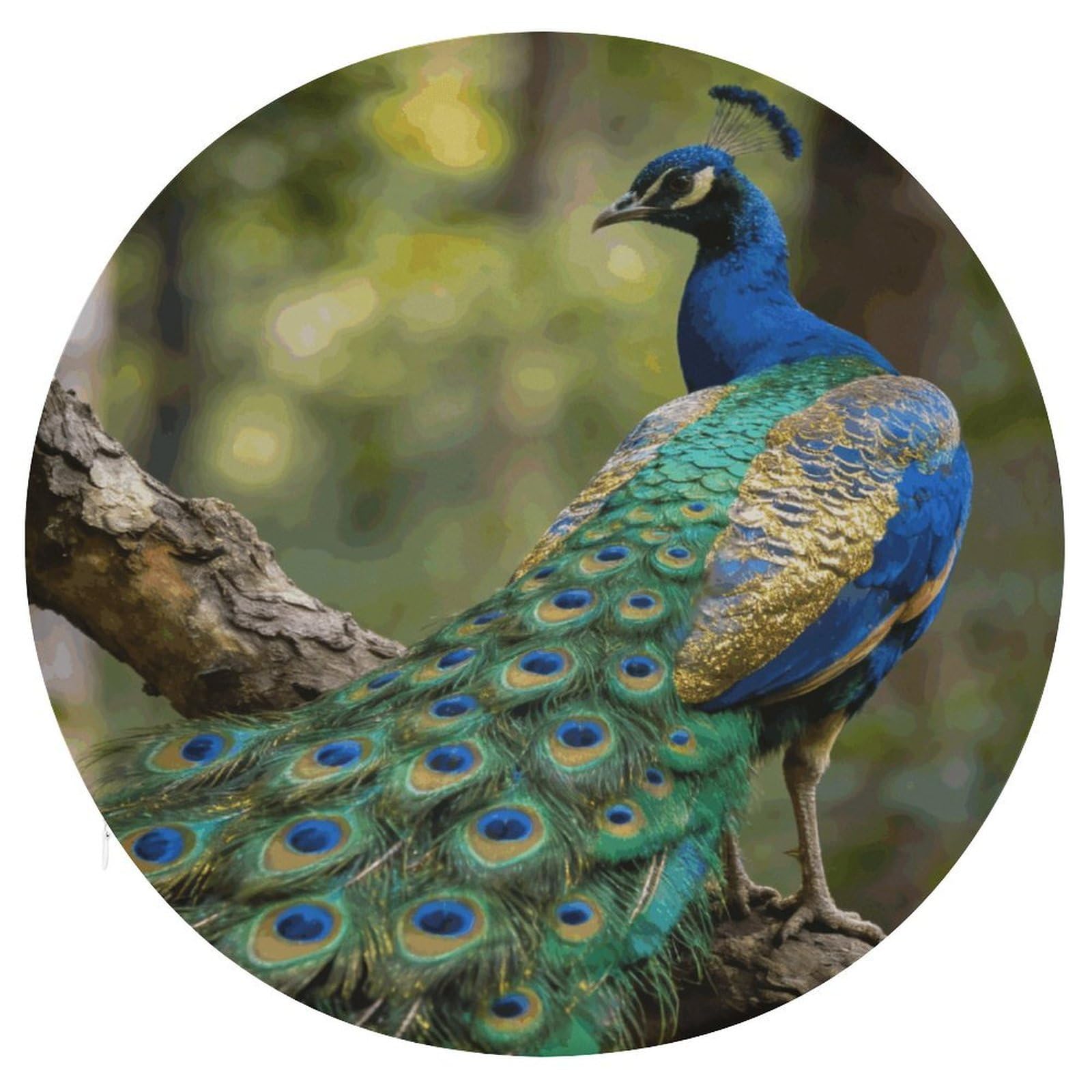 Almohadilla circular suave de pavo real para aliviar sillas duras de cocina