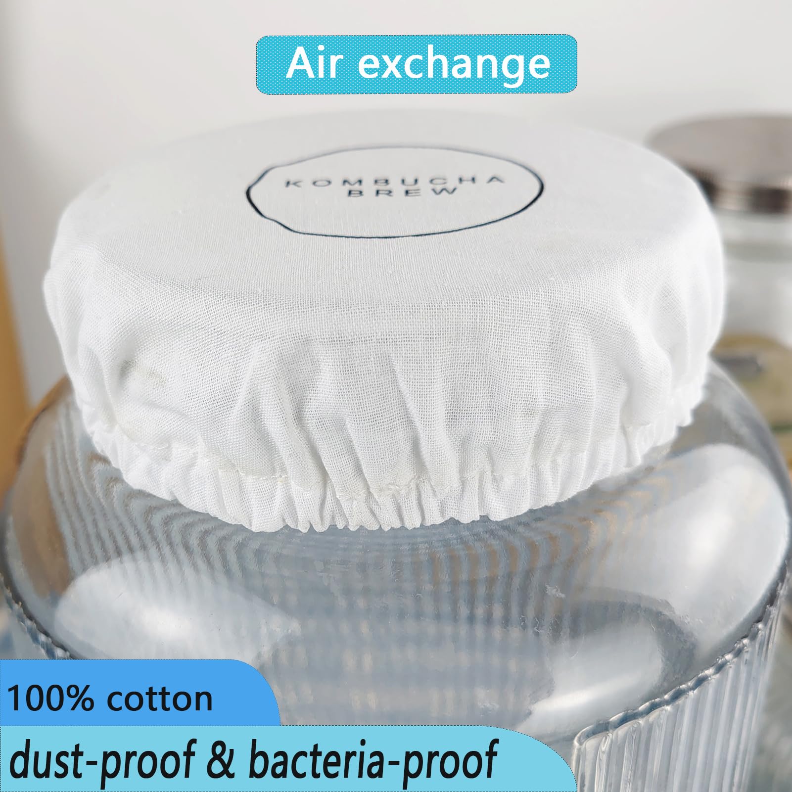 Kit Avviamento Kombucha e Jun con Barattolo di Vetro da 5,5L, Rubinetto in Acciaio Inox, Accessori per Fermentazione Continua, Strisce pH, Termometro, Copertura, Imbuto e Filtri