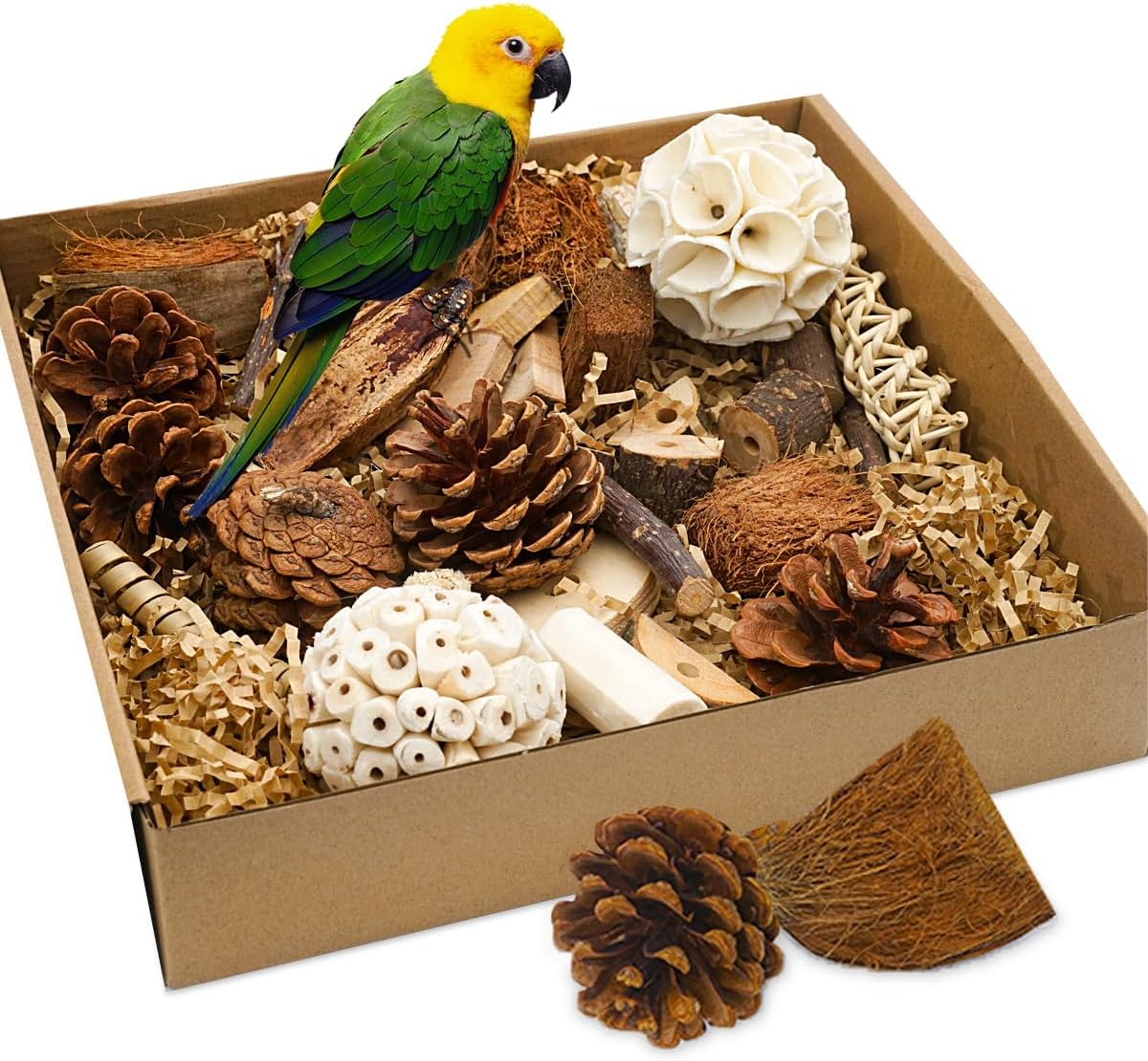 Natural Bird Foraging Toys - Parakeet & Cockatiel Shredding Toys Box for Parrots, Conures, Budgies & Lovebirds,Small to Medium Birds