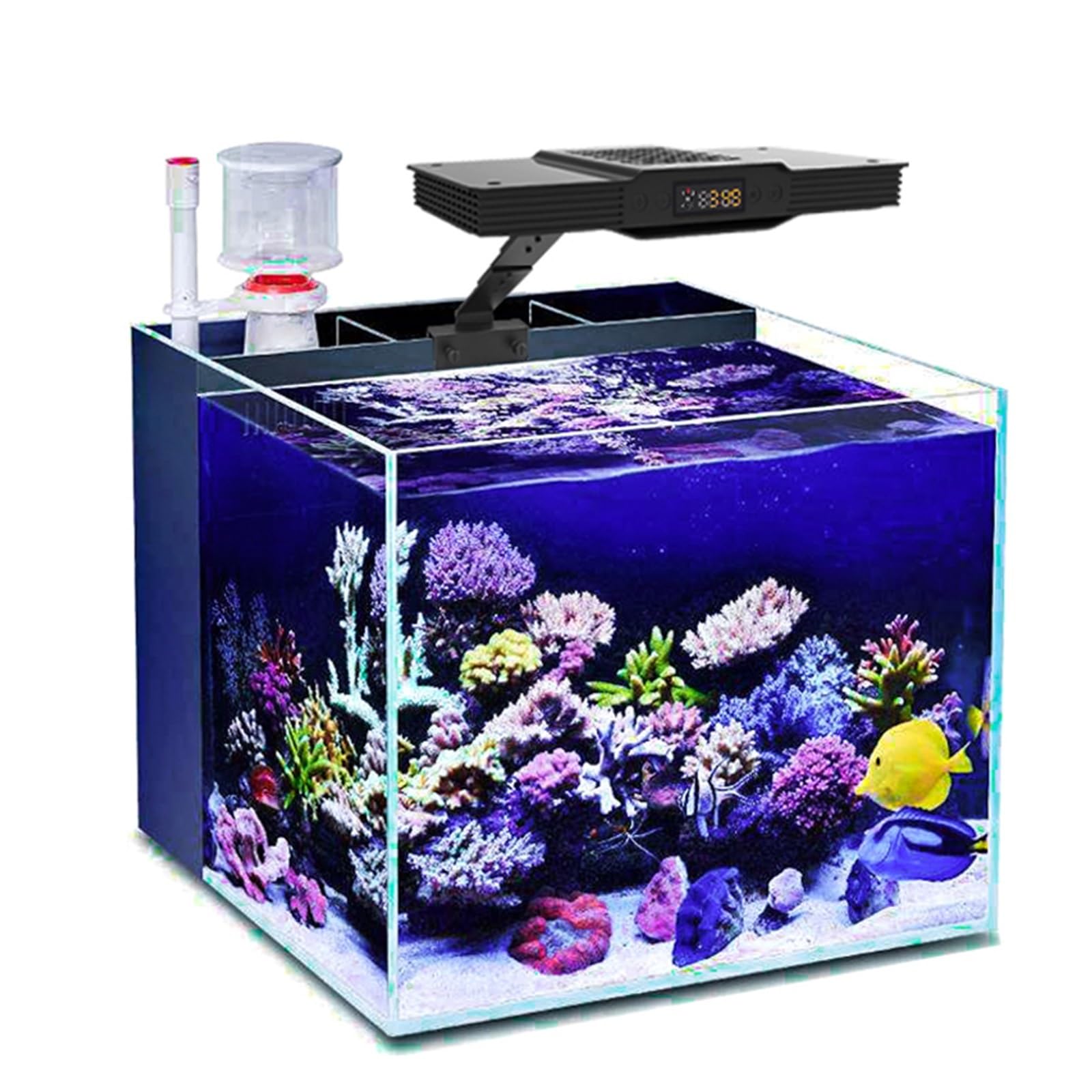 Luz del acuario, 35W 60W Arrecife de coral marino Agua salada Acuario de agua dulce Luz LED Programable Amanecer Atardecer