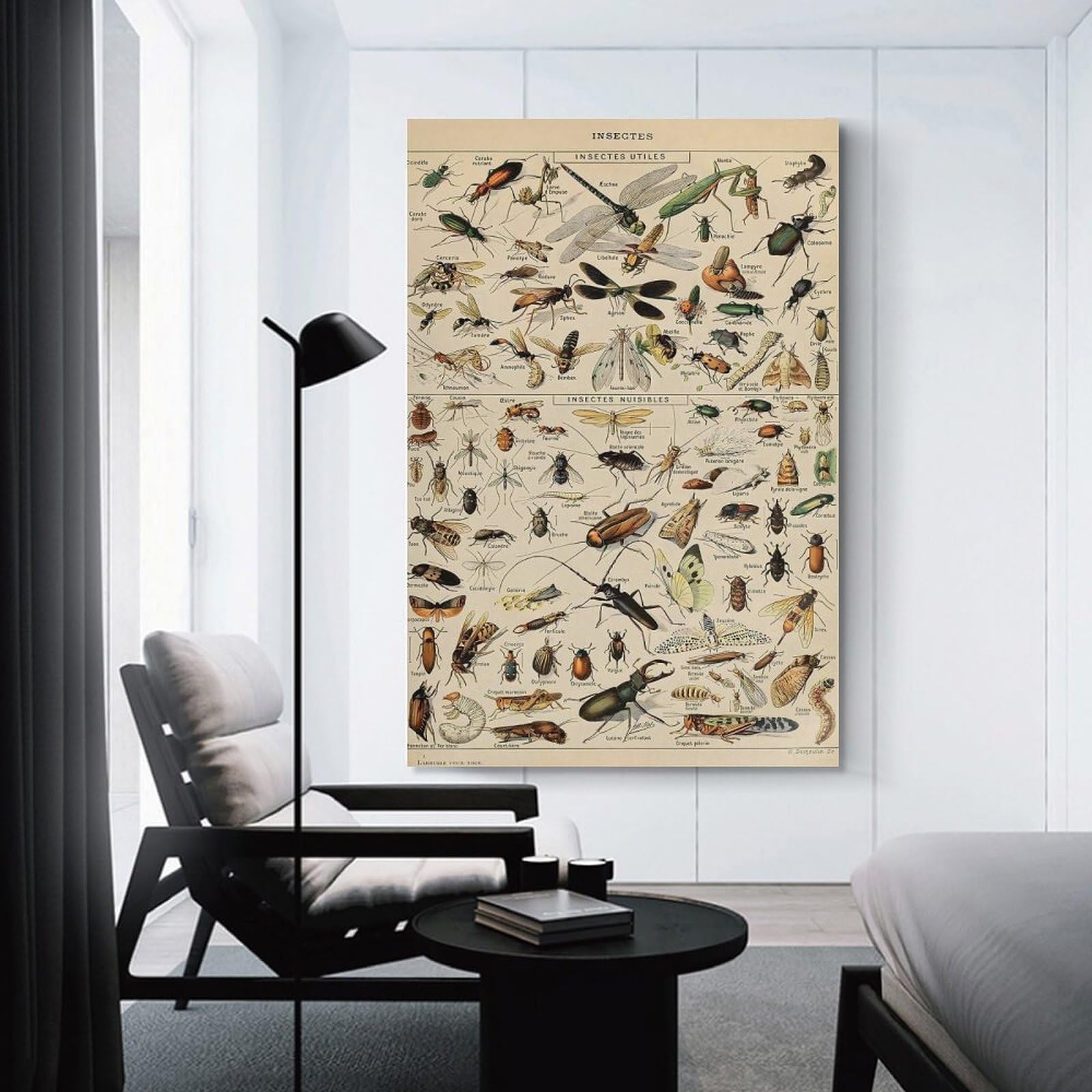 Junmoney Adolphe Millot Insect Wall Picture Print 12x18inch(30x45cm), for Apartment Walls, Studios Or Work Areas, A Simple Refresh for Blank Walls