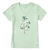 Women's Antique Plum Blossom Painting Short Sleeve Crusher Vee