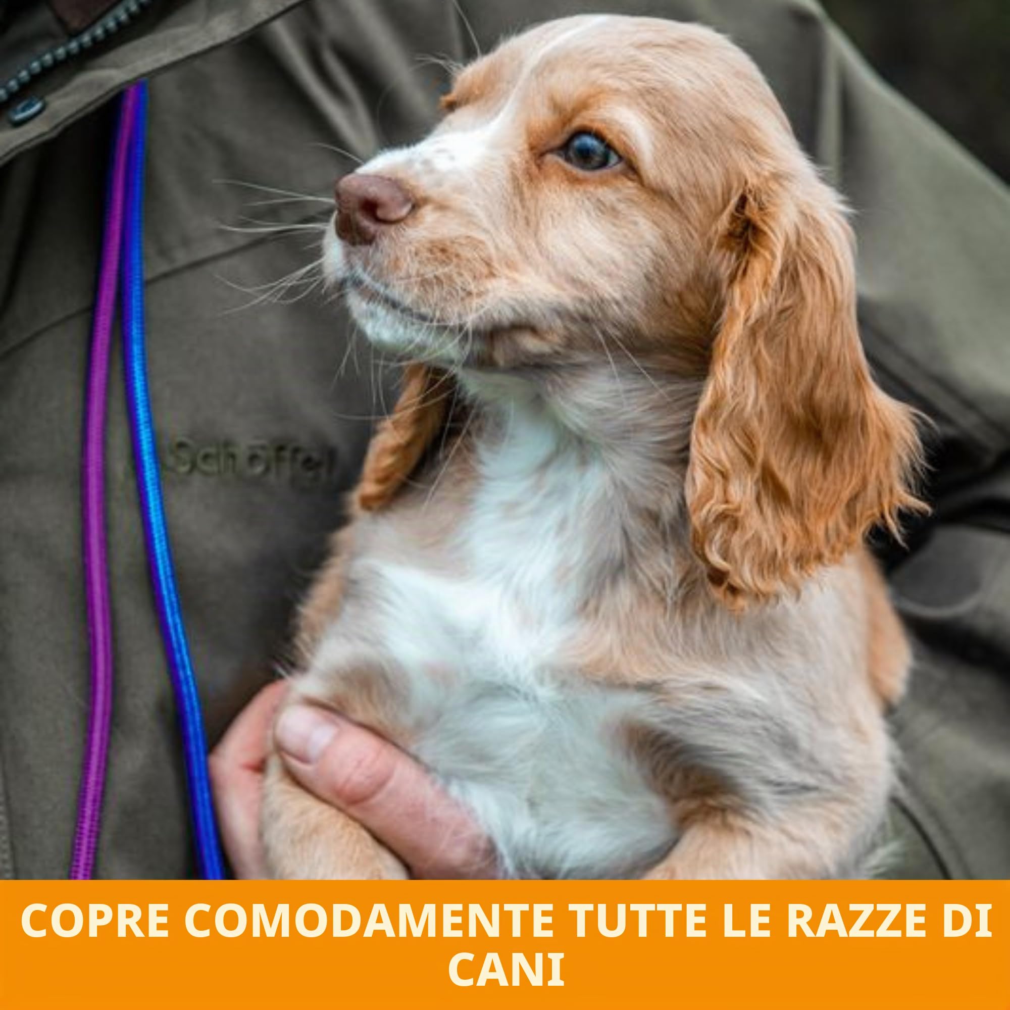 Dog & Field Signature Guinzaglio a Cappio per Cani, Viola. Guinzaglio a Cappio Leggero da 1,25 m, con Fermo Scorrevole in Gomma per l'Addestramento - Non Serve Collare o Pettorina (Viola)