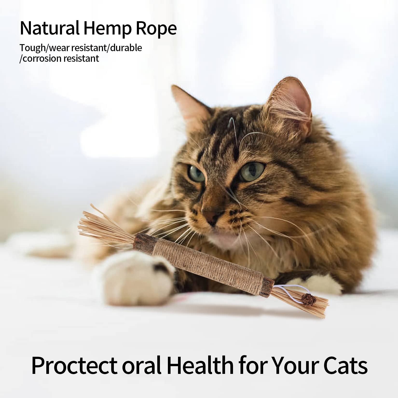 Palitos Masticables Matatabi Para Gatos - Pack 8 Unidades, Hierba Gatera, Cuidado Dental, Juguete Relajante