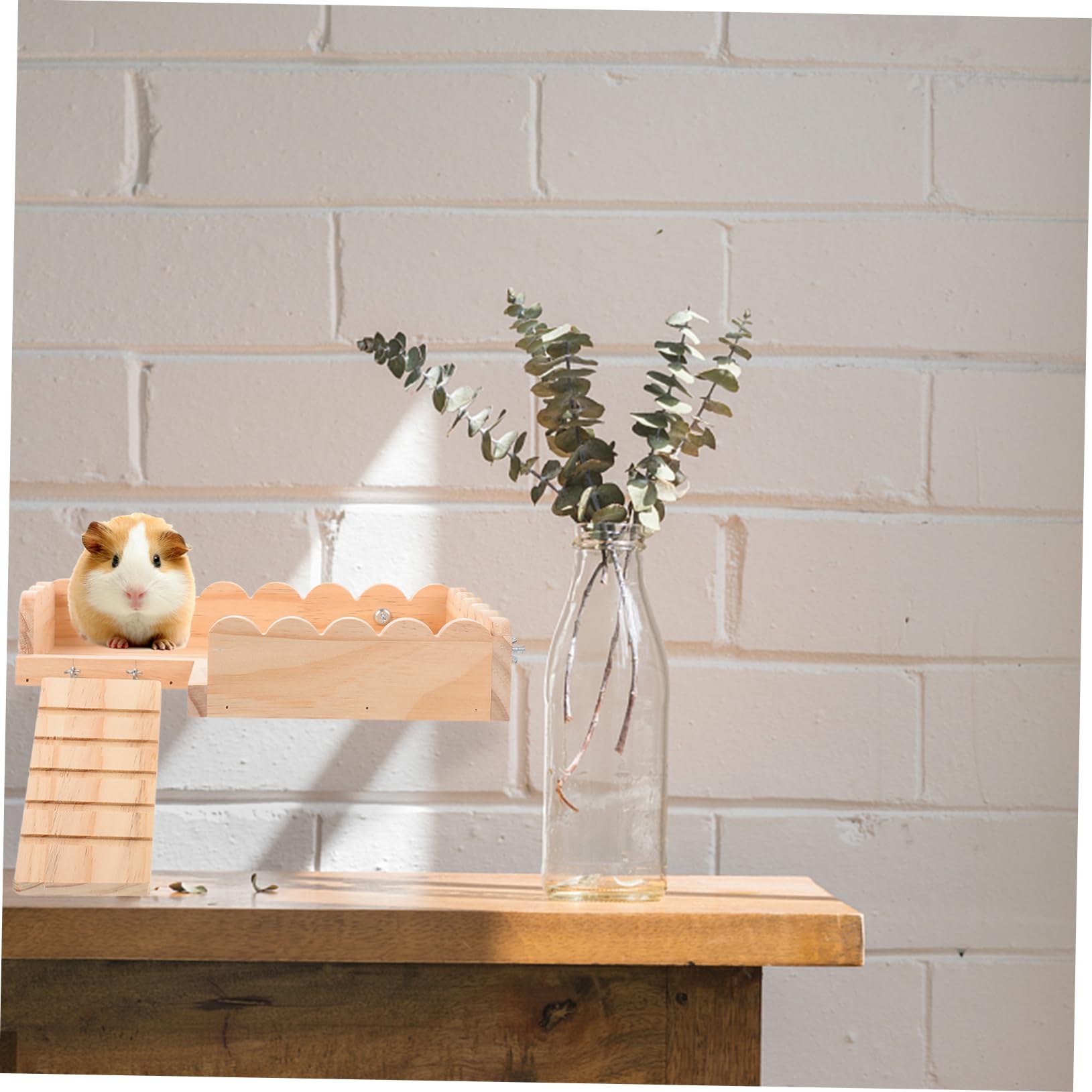 INOOMP Hámster De Juguete Plataforma para Hámster Juguete De Madera Conejillo De Indias Tablero Hámster Tablero Plataforma De Madera para Mascotas Plataforma De Madera para Hámster
