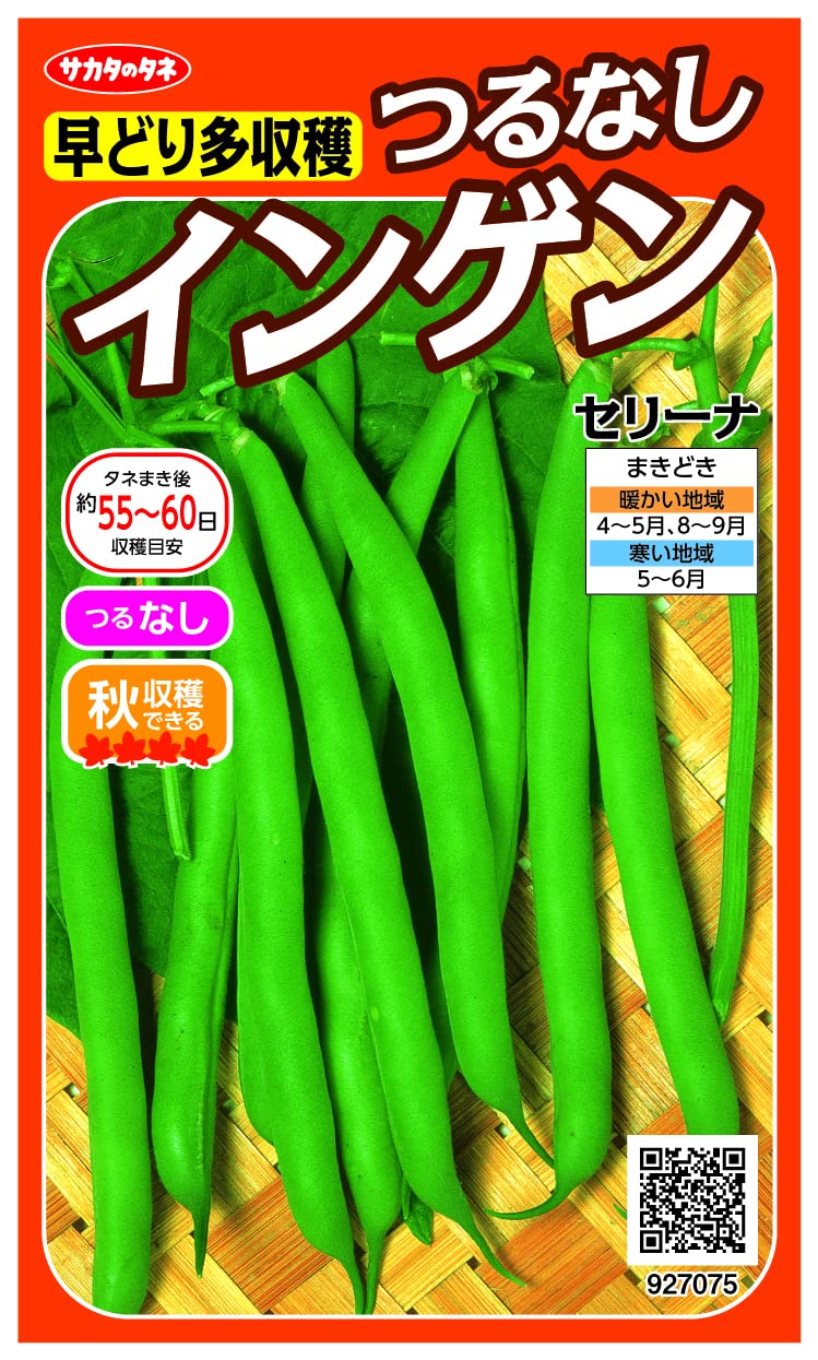 Amazon | 実咲野菜 インゲン 早どり多収穫つるなしインゲン