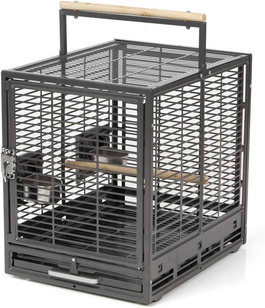 Montana Cages EVO Transportkäfig für Sittiche und Papageien – Antik | Transportkäfig & Reisekäfig Montana Cages EVO Transportkäfig für Sittiche und Papageien – Antik | Transportkäfig & Reisekäfig