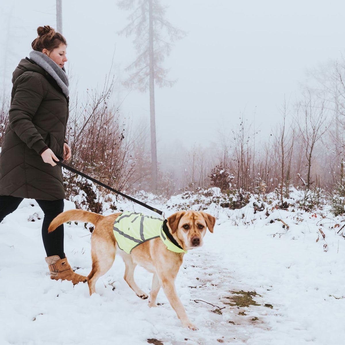 HUNTER Warnweste für Hunde, vielseitig einstzbar, höhere Sichtbarkeit, stufenlos verstellbar, wasser- und schmutzabweisend, waschbar, Größe: M