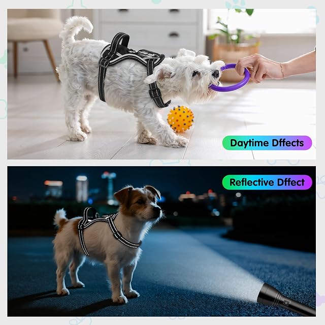 Foto 4 de 8 de YFbrite Arnés de Perro LED Recargable USB, Reflectante y Transpirable Con Luces Intermitentes (Verde, Mediano)