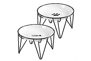 Ceramic Cat Bowls for Whisker Comfort and Less Vomiting