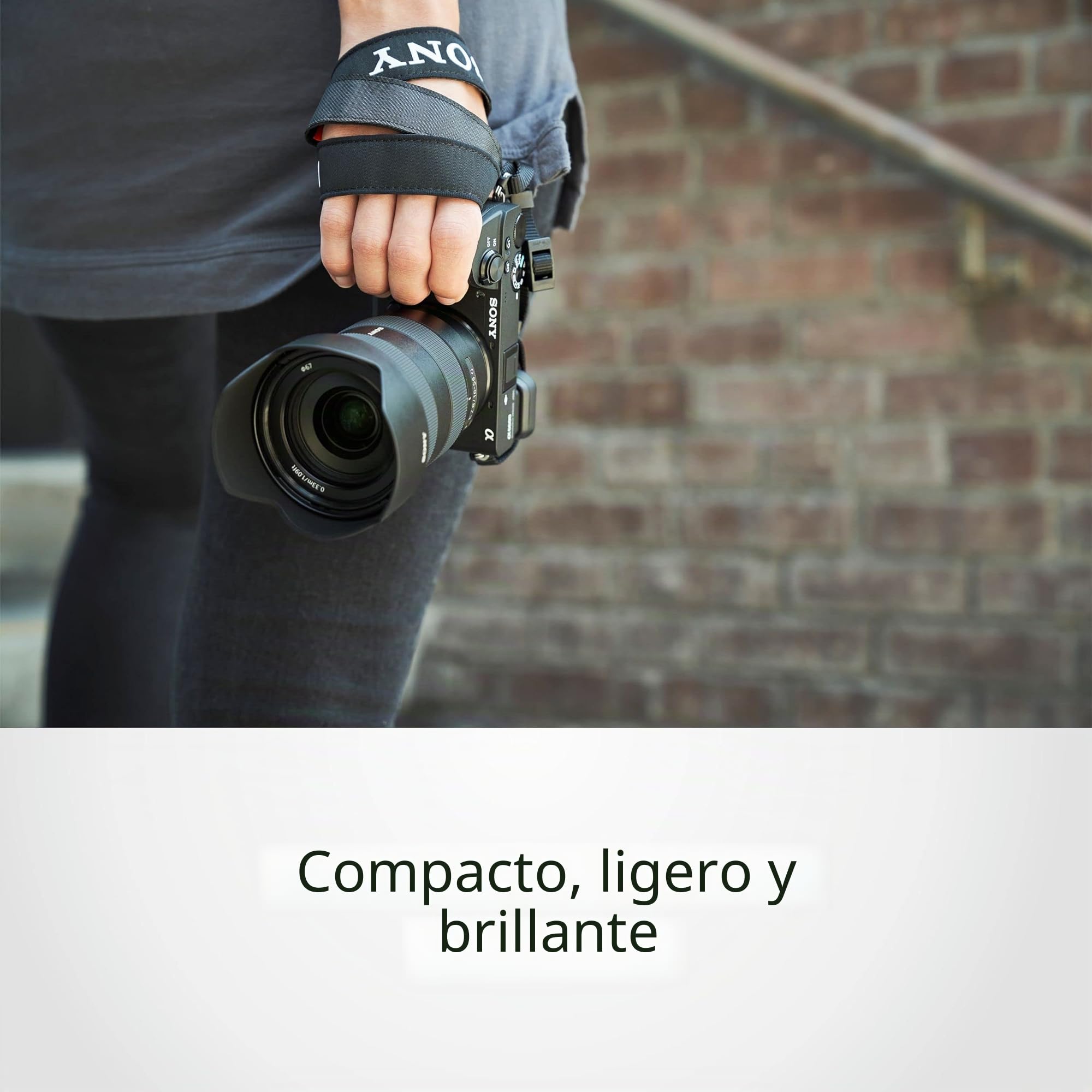 Sony E 16-55mm f/2.8 G - Objetivo Zoom, APS-C, Rango Medio (SEL1655G)