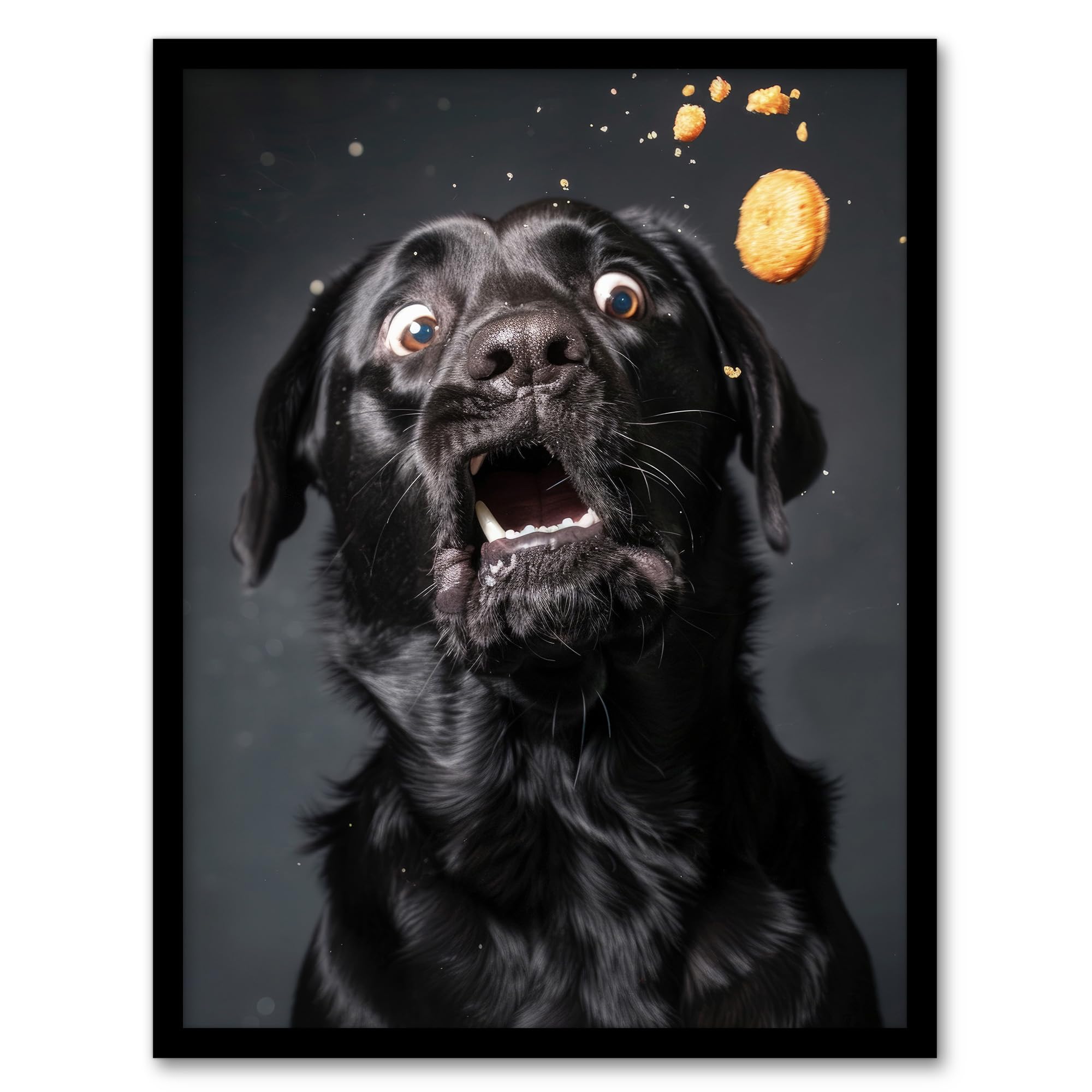 Artery8 Funny Black Labrador Dog Lover Treat Catch Photo For Living Room Artwork Framed Wall Art Print A4