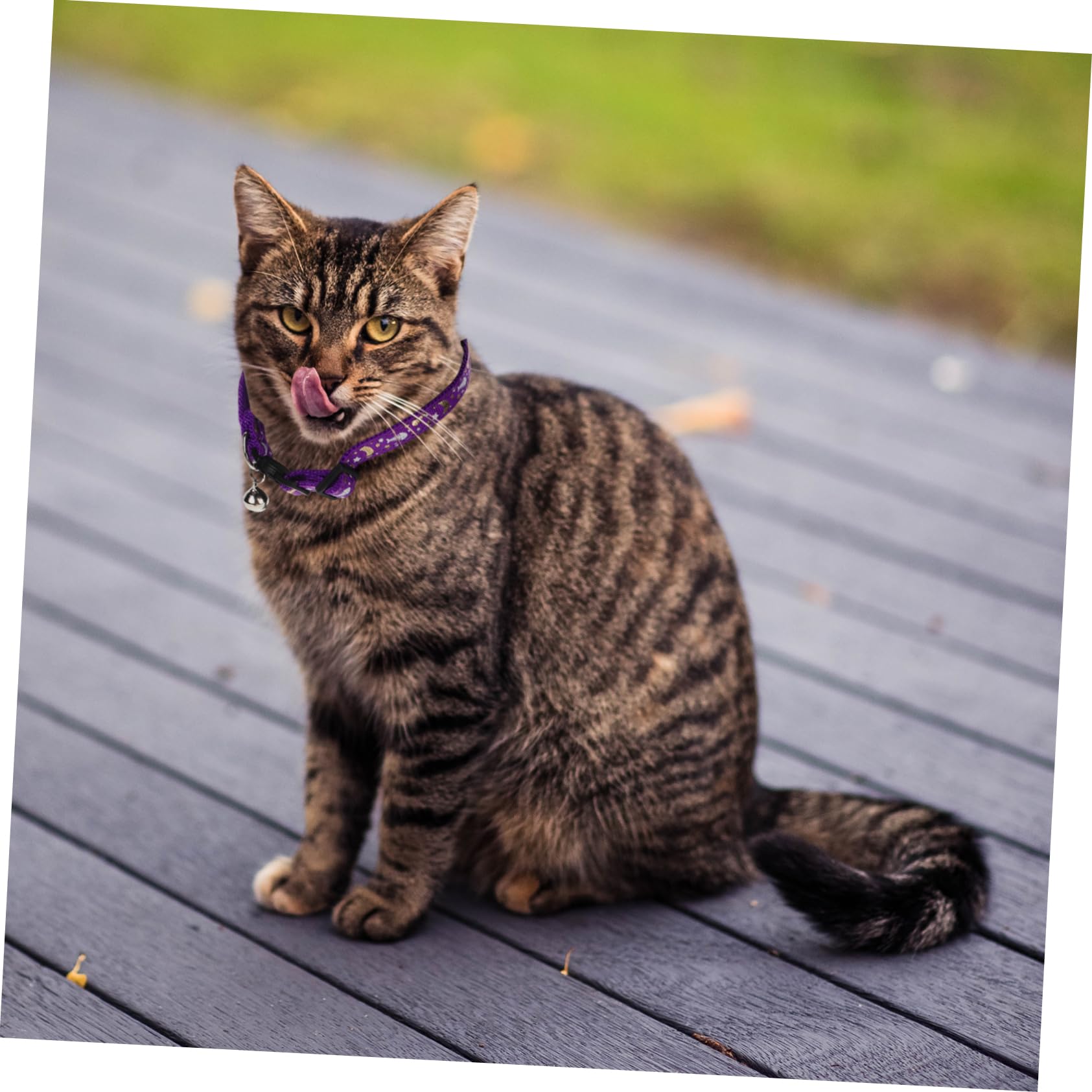 Toddmomy 15pièces Colliers Réfléchissants pour Chats Colliers Confortables avec Clochette Neck Circles Décoratifs pour Chats