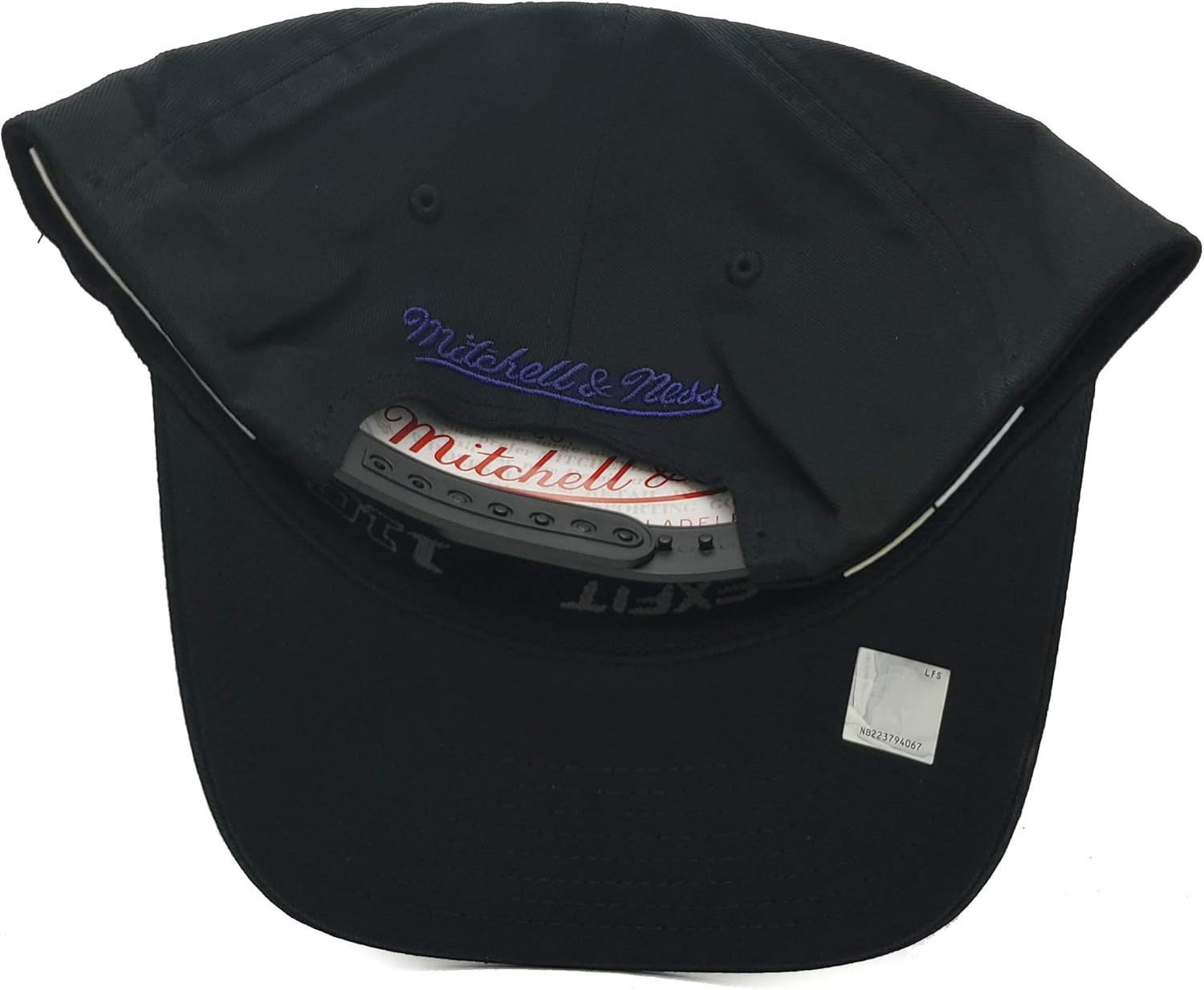 Toronto Raptors 110 Flex Vintage Logo HWC Solid Adjustable Snapback
