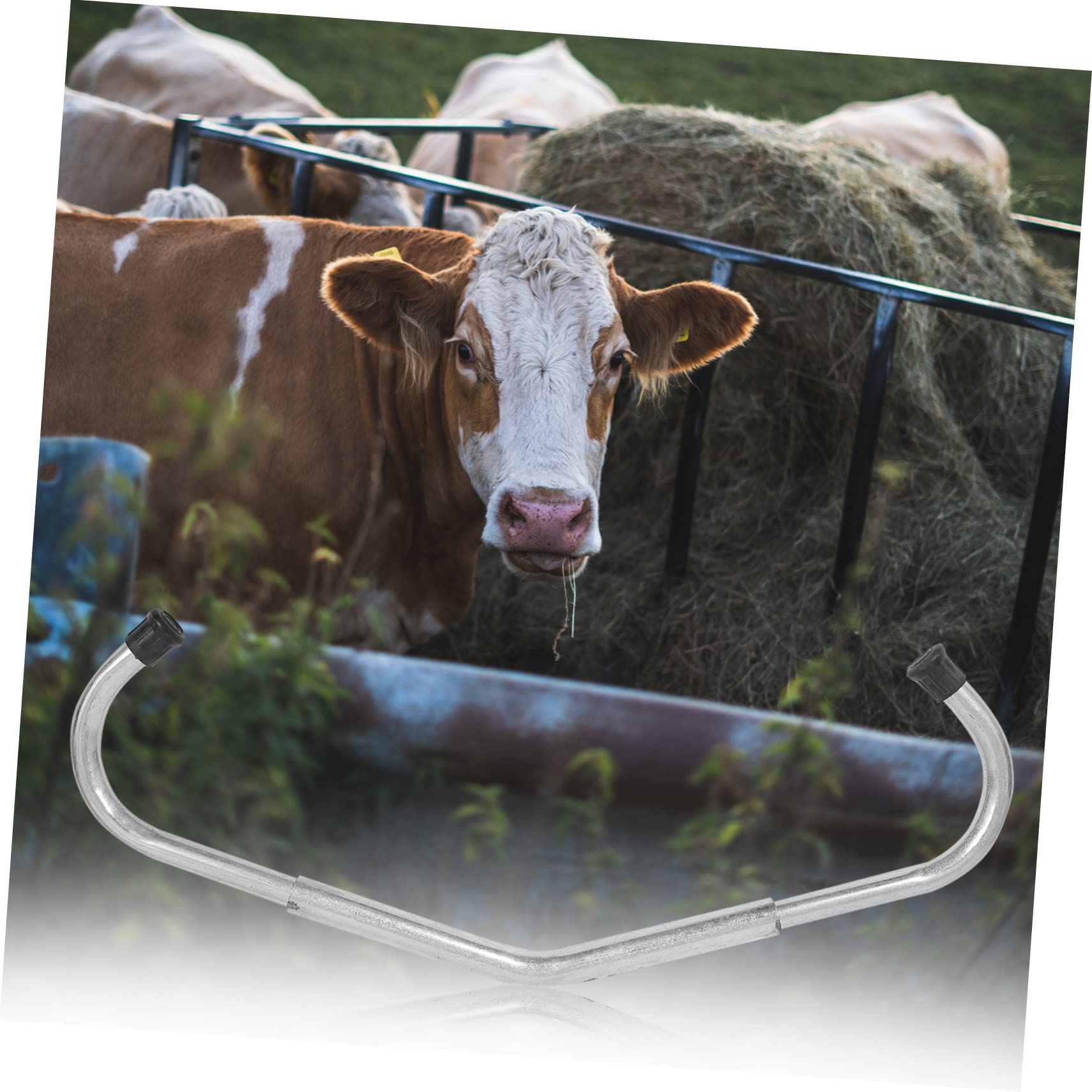 Bastone Anti-calci per Bovini Regolabile Zincato Argento | Uso per Fattoria Domestica, Struttura Robusta, Accessorio per Allevamento e Gestione Bestiame