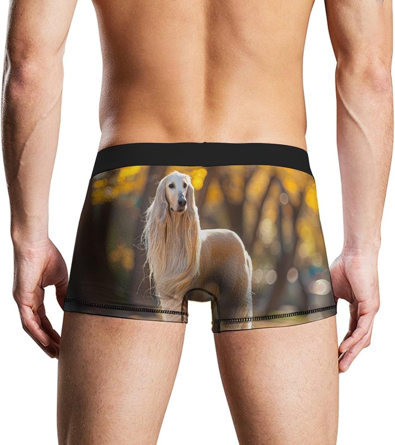 Afghan Hound With Long Hair Novelty Men's Trunks Soft Breathable Underwear Patterned Stretch Briefs