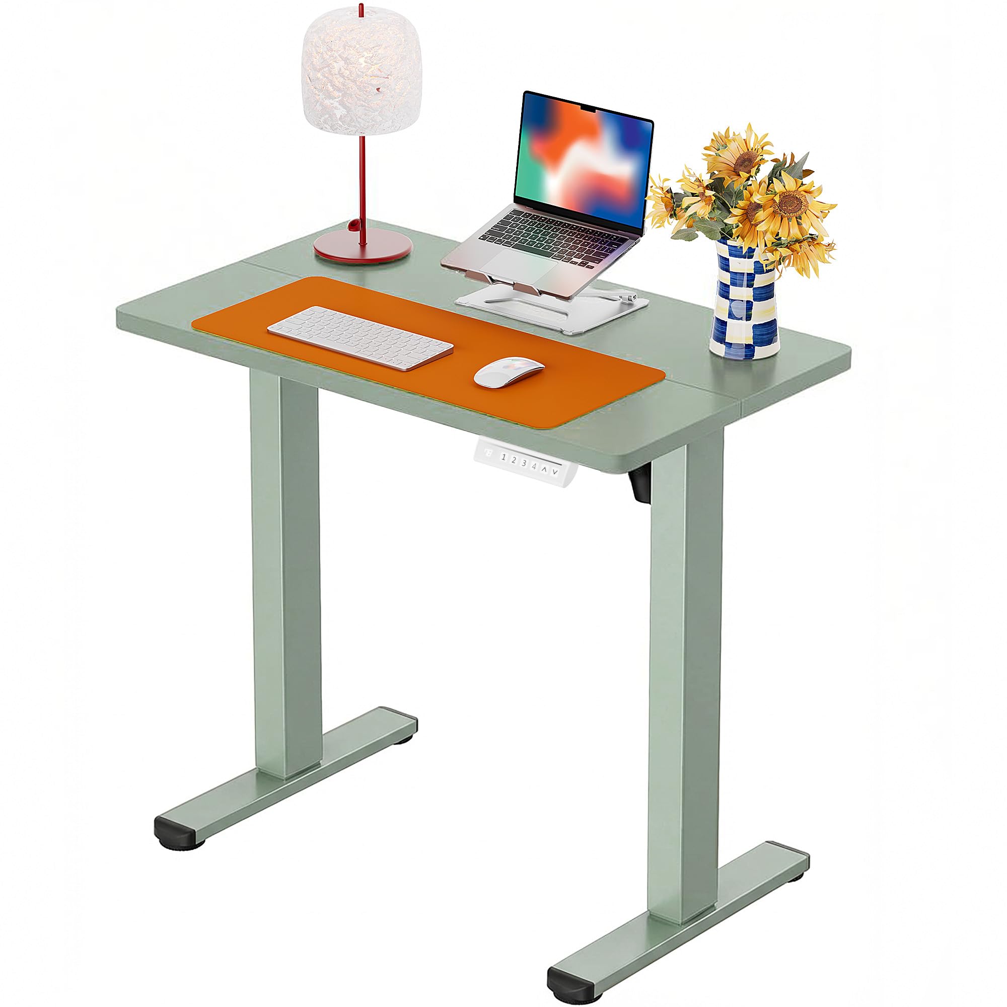 ErGear Height Adjustable Standing Desk