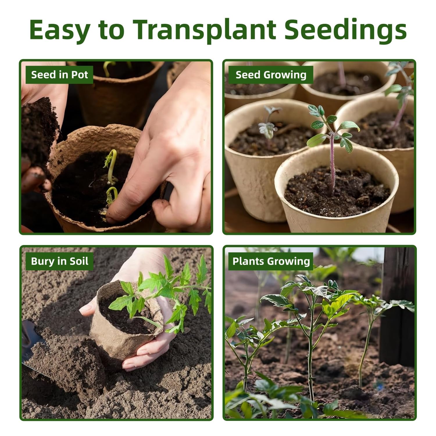 100 Piezas Redondas Macetas biodegradables de 8 cm, Kit de Inicio de Plántulas Biodegradable y Ecológico, Semilleros Germinacion Macetas con 100 Etiquetas de Plantas y 2 Herramientas de Plantación — view 6