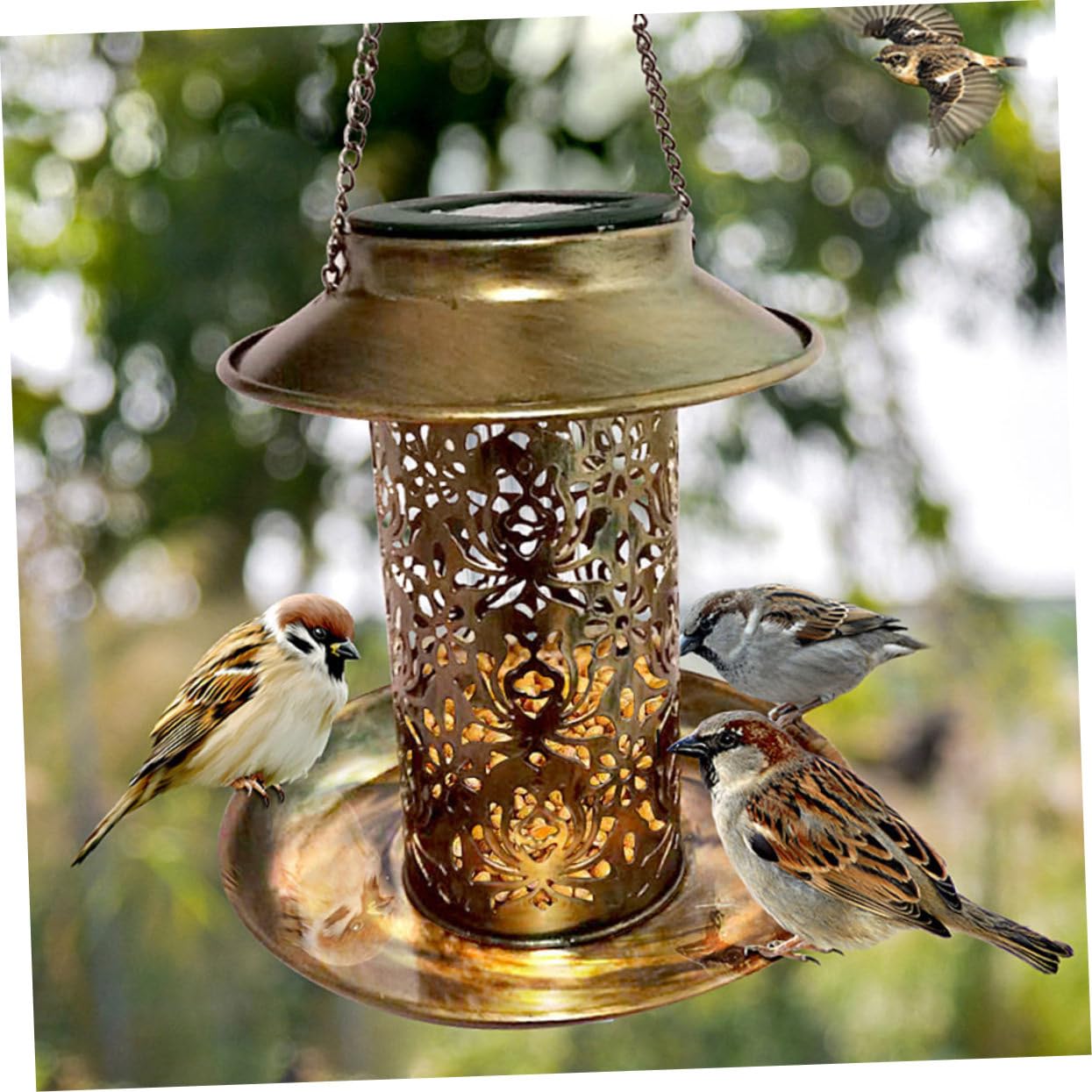 Happyyami Solarbetriebener Vogelfutterbehälter aus Eisen mit LED Licht Ip55 Hängend für Garten und Hinterhof zur Vogelanziehung