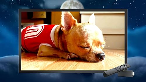Música calmante para gatos-relaxamento, sono profundo, alívio do estresse para Tv e Tablets