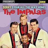 Vista 1 de Lo siento, corrí todo el camino a casa