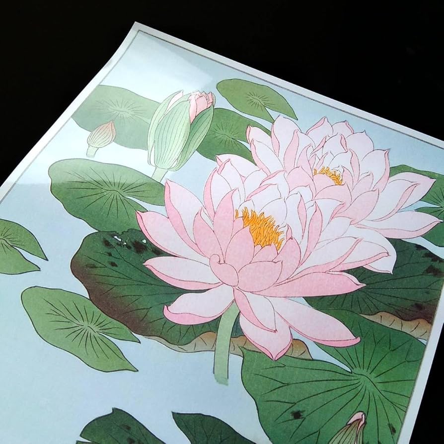 Amazon.co.jp: 小原古邨『睡蓮』浮世絵 アート 沢 ポスター A3 バー