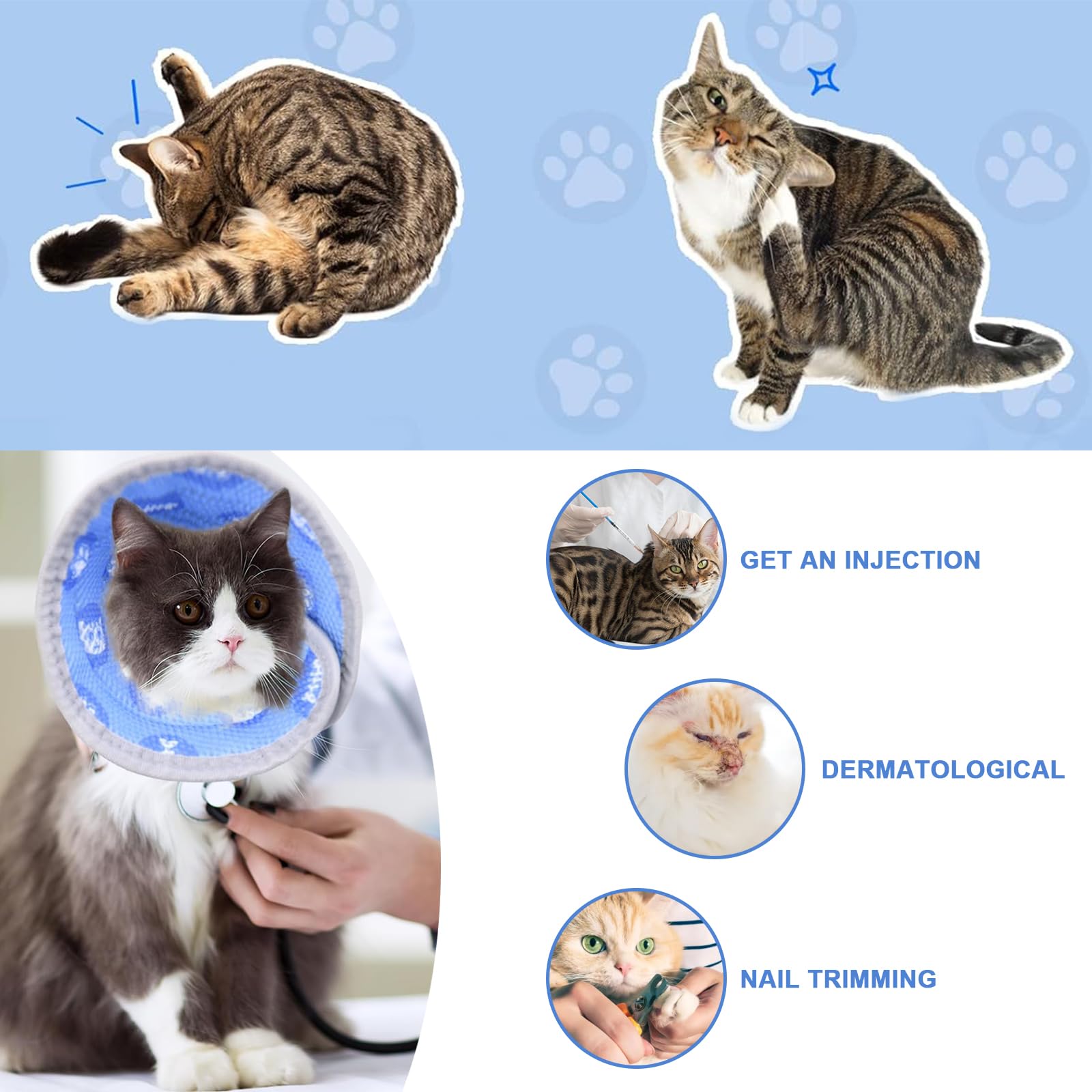 TOP 10 ᐈ Mejores Collar Isabelino Para Perros