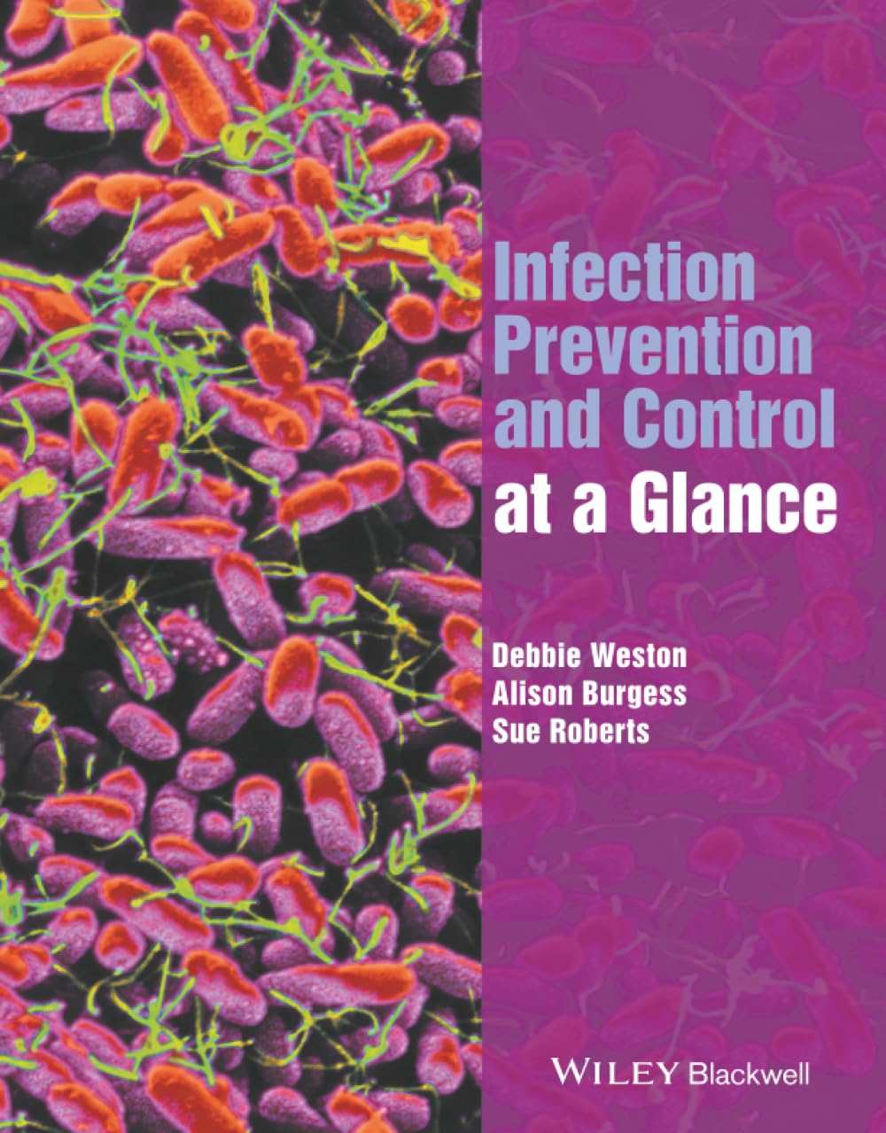 Infection Prevention and Control at a Glance (At a Glance (Nursing and Healthcare))