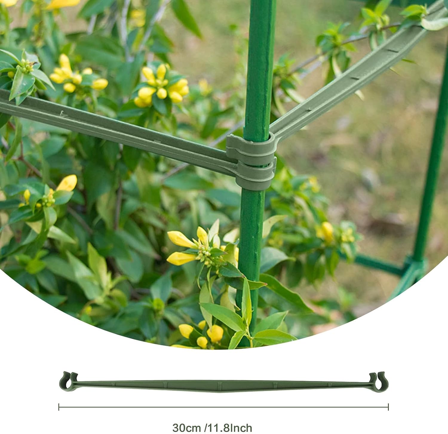 100 Pcs Wooden Stake Arms About 11.8 Inches Long with 2 Buckles for Tomato Cages, Connecting Plant Stakes with a Diameter of 0.43''