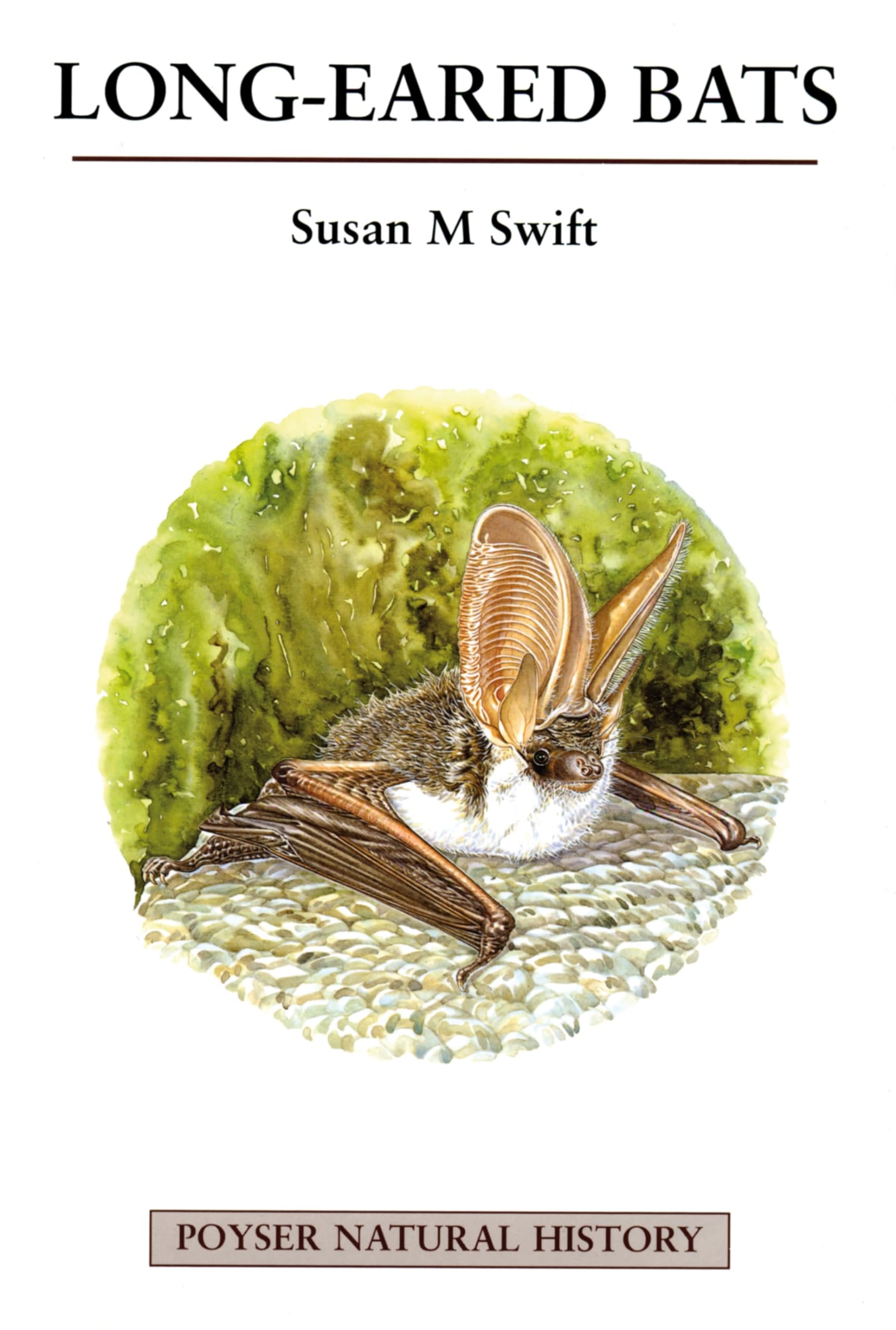 Buy Long-Eared Bats (Poyser Natural History) — BookShops.in