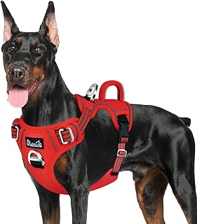 SlowTon No Pull Dog Harness, Heavy Duty No Choke Pet Harness with 2 Leash Clips and Easy Control Vertical Handle, Adjustable Soft Padded Dog Vest for Small, Medium and Large Dogs(Red,Large)