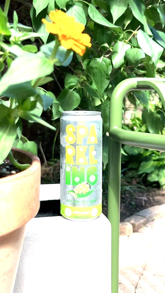 Amazon.com : ALO Sparkling Passion Fruit & Peach Carbonated Aloe