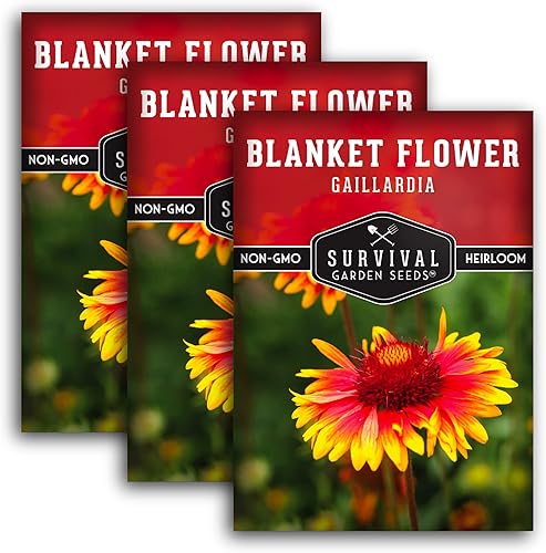 Survival Garden Seeds - Semillas de flores para plantar - Paquete con instrucciones para plantar y cultivar Gaillardia Pulchella en el huerto de tu