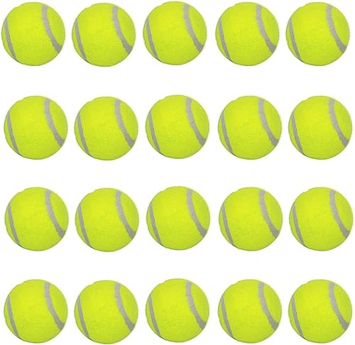 LUCKYERMORE Paquete de 20 pelotas de tenis para perros, mini juguetes premium de 2 pulgadas, no tóxico, material no abrasivo, perfecto para perros