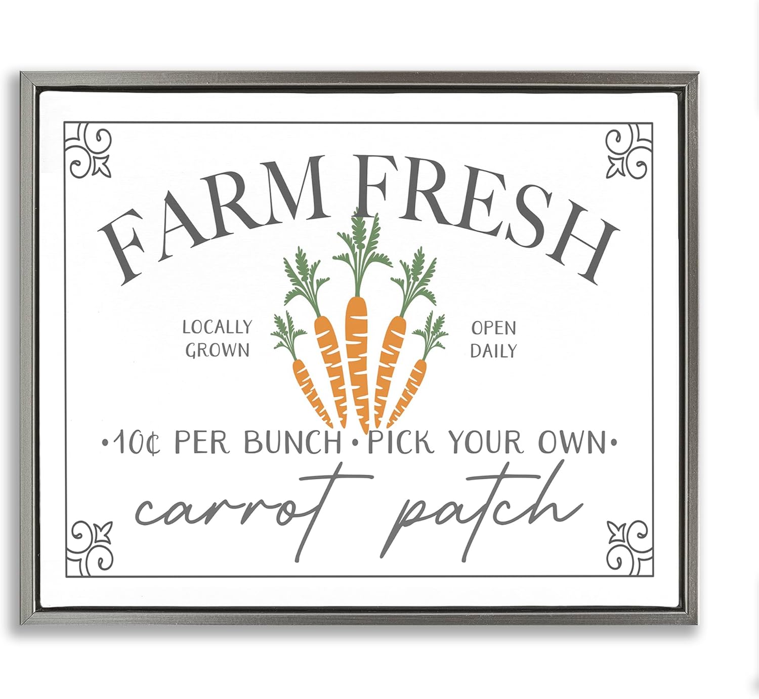 Stupell Industries 'Farm Fresh Carrot Patch Seasonal Springtime Vegetables', Floating Frame Canvas Art, Gray, 21 x 17