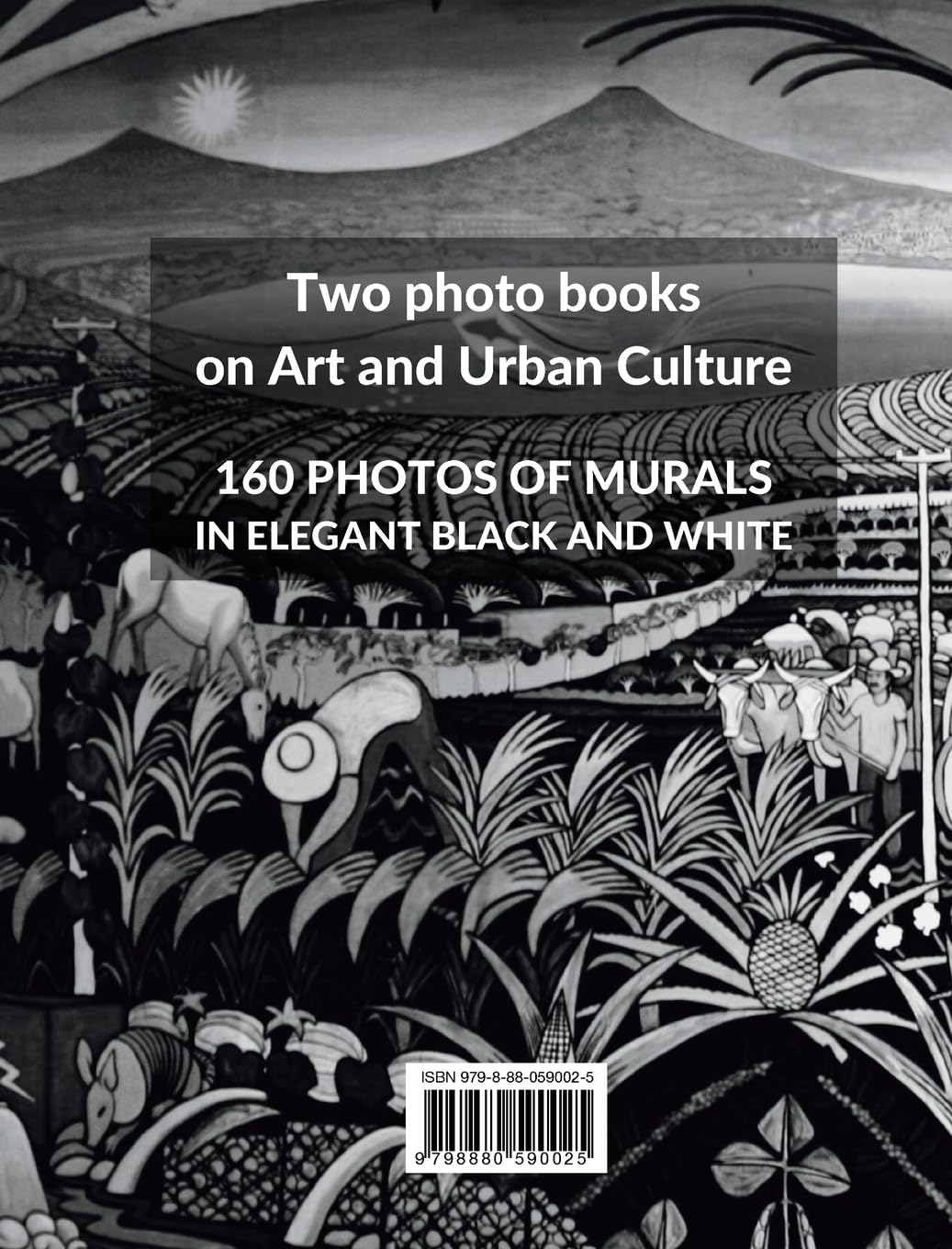Collection of Black and White Murals and Street Art - Volumes 2 and 3: Two Photographic Books on Urban Art and Culture