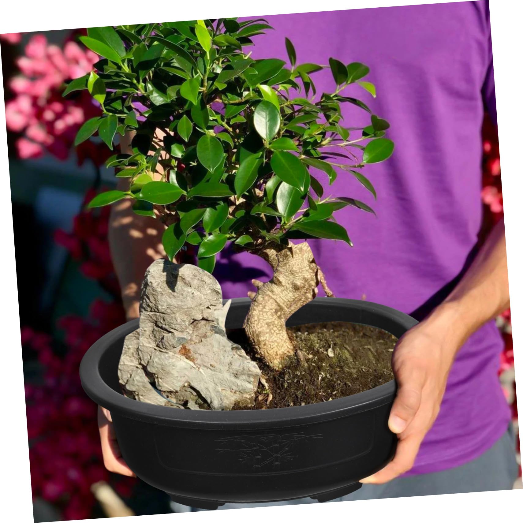 2 Pezzi Vasi Bonsai Ovali in Plastica Rigida Fioriere Per Giardinaggio Interno Esterno Con Fori Di Drenaggio Per Piante E Fiori Da Balcone Ufficio E Giardino