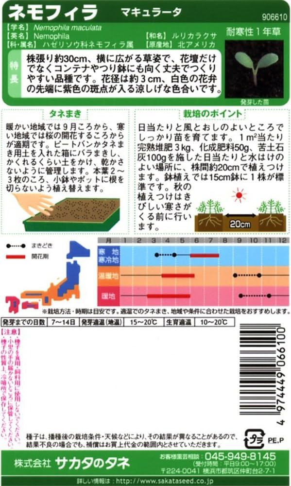 ねもふぃら購入ページ Amazon | サカタのタネ 実咲花6610 ネモフィラ マキュラータ 00906610