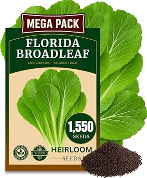 1500+ Florida Broadleaf Mustard Seeds for Planting, Packed for 2026 Non-GMO Seeds Fast Growing, Heat and Cold Tolerant High-Yielding, Heirloom Seeds