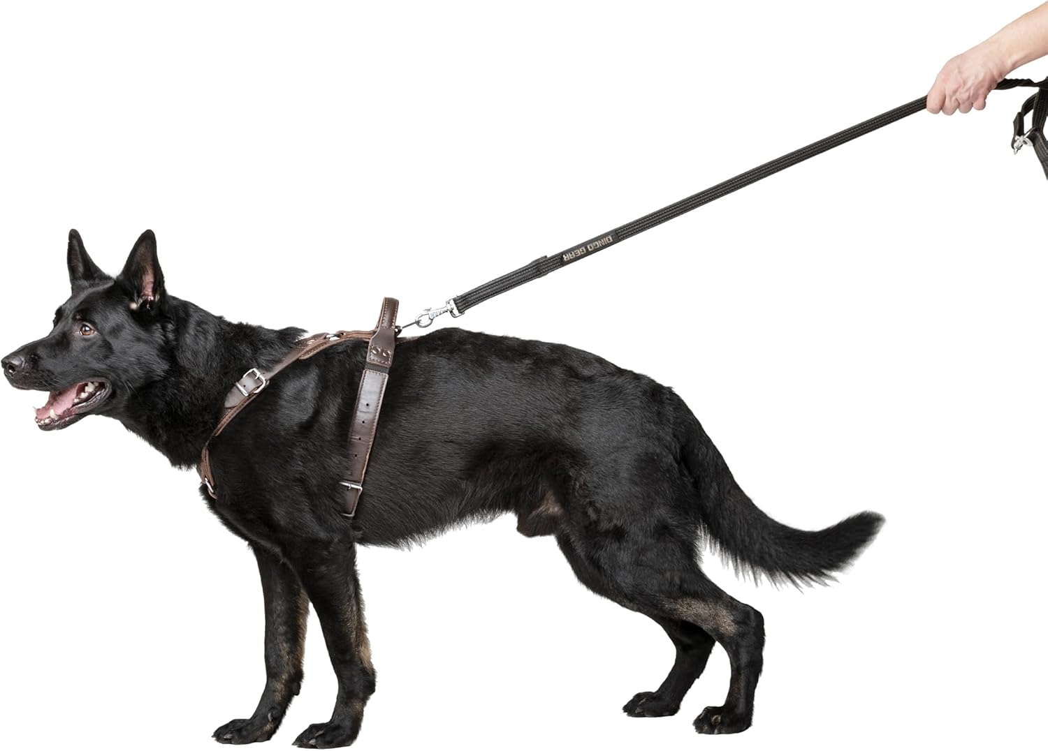 Dingo Gear Predator Stylish Leather Harness for Dog, Hand Crafted, HQ Dog Fashion, Fine Bronze, XL