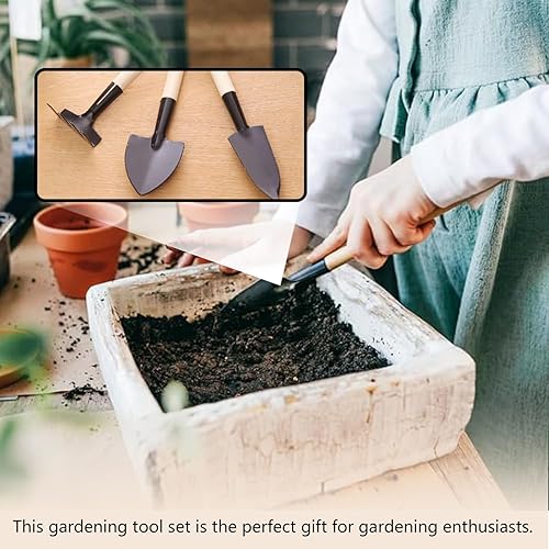 Miniatura 8 de Juego de 3 mini herramientas de jardinería con asas de madera, incluye rastrillo de mano pequeño y pala, ideal para bonsái y cuidado de plantas en