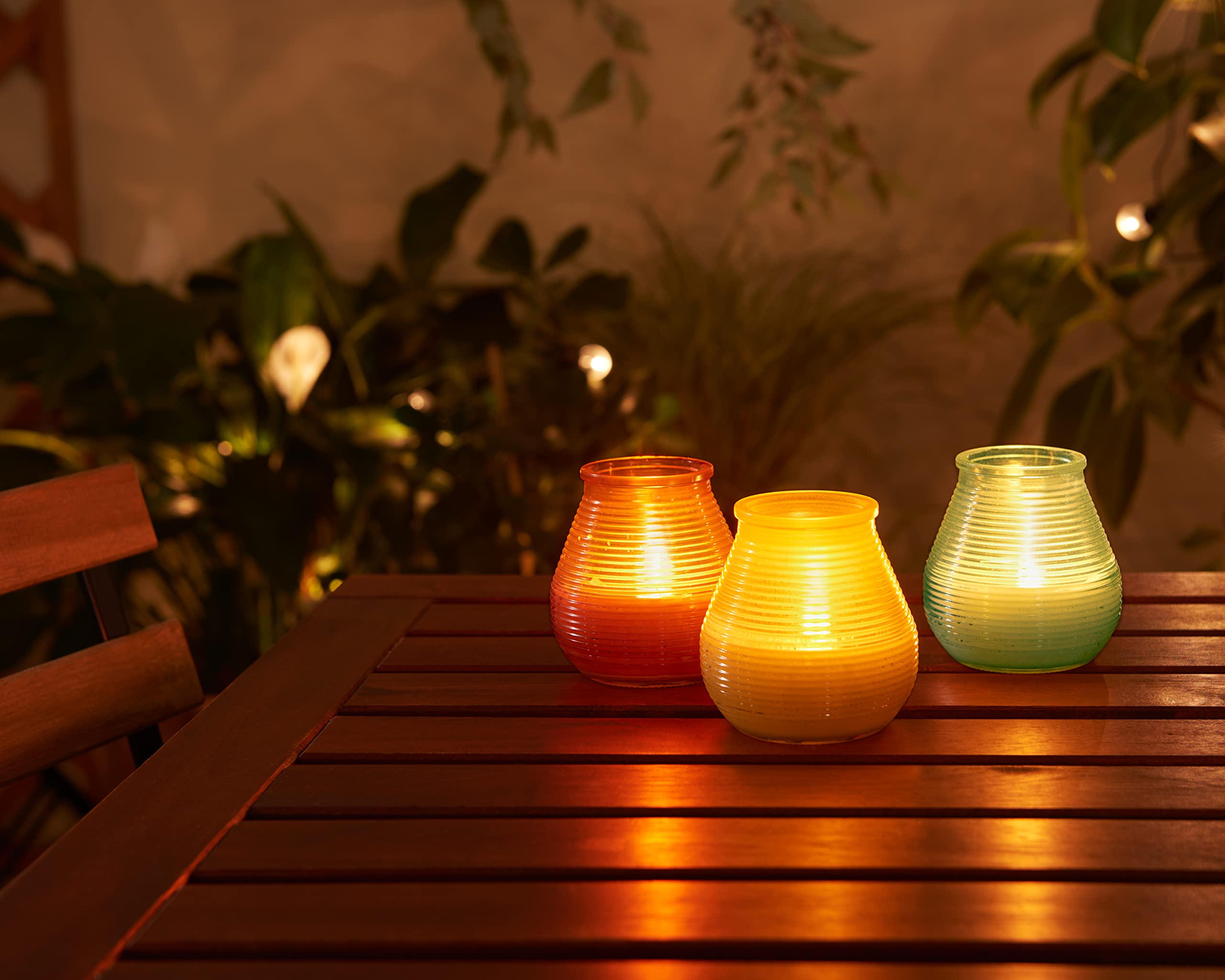 Bougie de patio Citronnelle BOLSIUS Lot de 6 40 heures de combustion Extérieur Vert