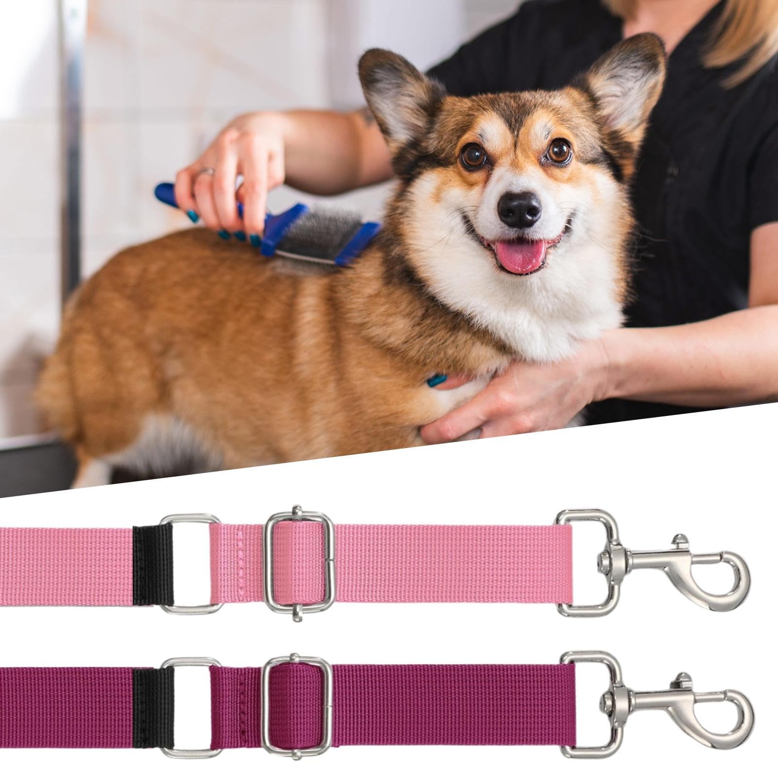 View 3