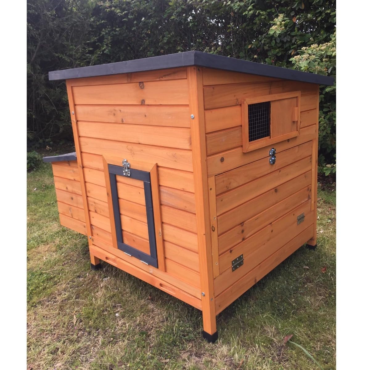 Animal Valley Gallinero Sussex XL Techo Shingle Negro Abatible para 6 a 10 Gallinas, Madera FSC