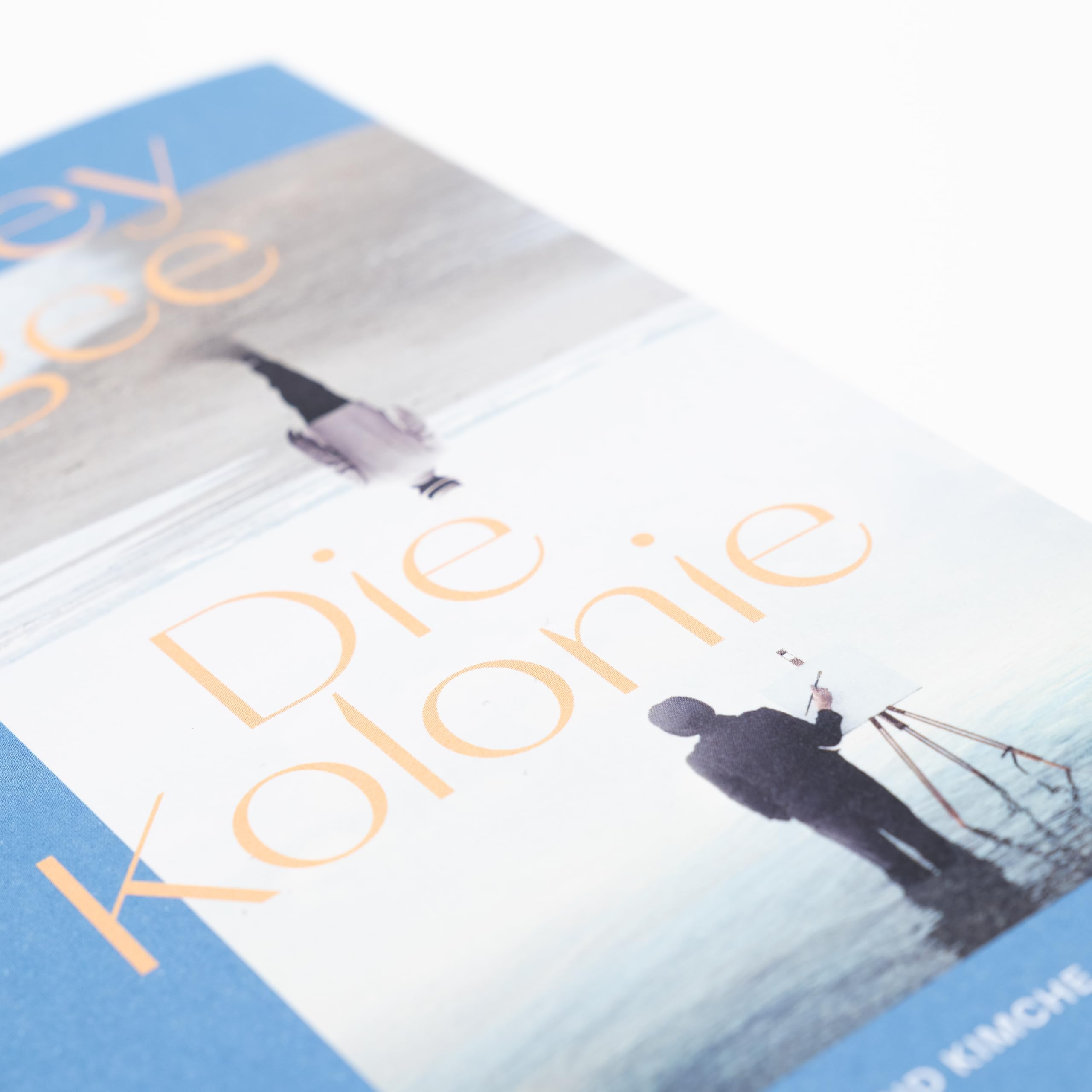 Die Kolonie: Roman | Longlist des Booker Prize 2022 | Nordirlandkonflikt | IRA | Familie | Kolonialismus